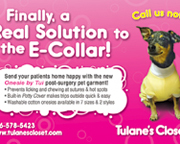 Direct Mail Postcard Design Promoting New Product Launch